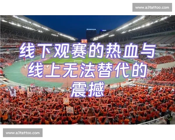 引爆全场氛围让每一刻激情四溢释放无限能量